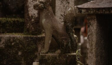 Kyoto in May