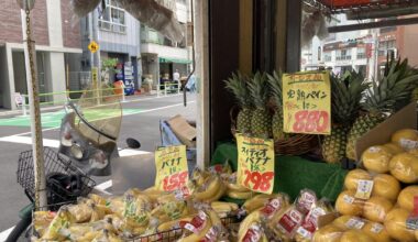 Some pictures from my first ever trip to Japan this June🪭