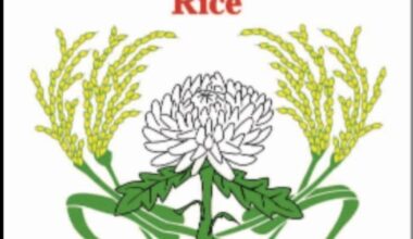 Which rice would you recommend?