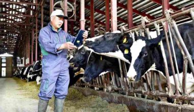 Online Medical Exams Extended to Livestock Due to Veterinarian Shortage