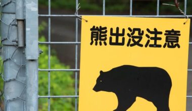 Teacher stares down bear at school in Japan, saving students from harm