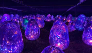 TeamLab Planets Tokyo
