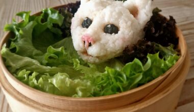 Cat onigiri