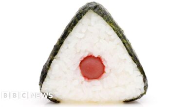 Ministop: Japan chain stops rice ball sales after staff fake expiry dates