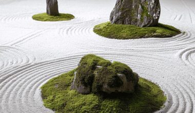 Kyoto Origin Shirakawa gravel needed for watch project