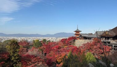 Koyo (紅葉) in Kyoto Nov 2024