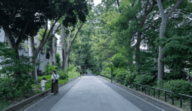 An approach to Hikawa Shrine, Omiya