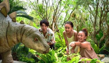 Brand-new theme park in Japan charges foreign tourists 25 percent more than locals for tickets