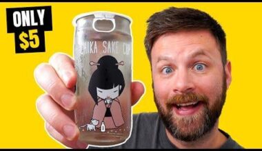 Tried the Chika One Cup sake