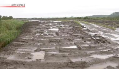 Hokkaido govt. urges halt to solar project near Kushiro wetland
