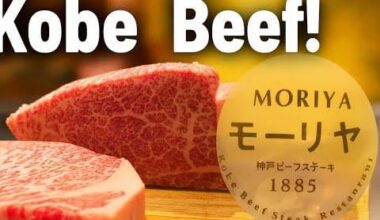Trying Real Kobebeef in Kobe… Worth the Hype? Mouriya