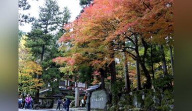 14 female high school students staying at Eiheiji Temple had their buttocks touched by a monk