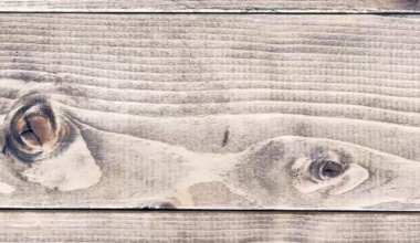 Pan-Fried Gyoza Made with Homemade Wrappers!