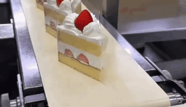 Japanese strawberry shortcake factory 🍰