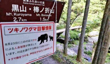 Multiple Bear Sightings in Western Tokyo Lead to Municipalities in Area Calling for People to Stay Vigilant
