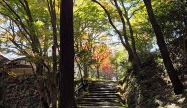 Reminiscing about my last trip!