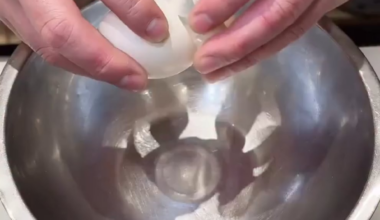 Japanese Egg Whites
