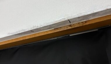 Is this mold ?