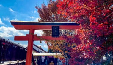 Autumn
