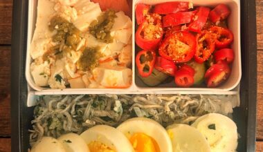 Today’s work bento!