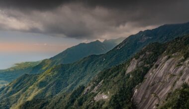 My favourite nature shots on Yakushima [OC]