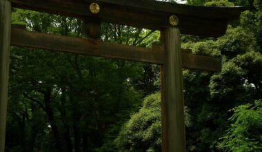 Meiji Temple⛩️