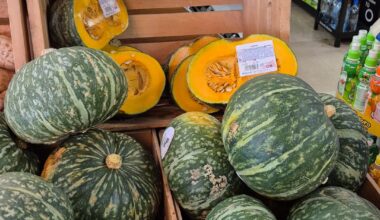 Kabocha Salad