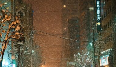 Walks at night in Sapporo last winter