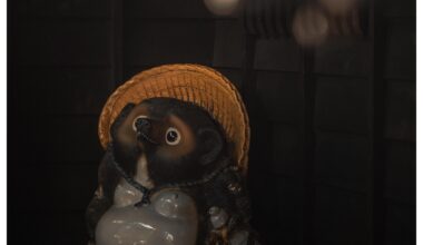 Tanuki Kurokawaonsen