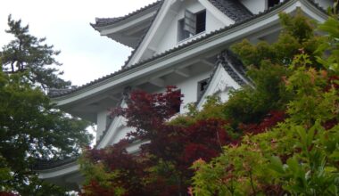 Views of Gujo Hachiman (May 2025)