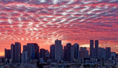 Sunrise over Shinjuku last week
