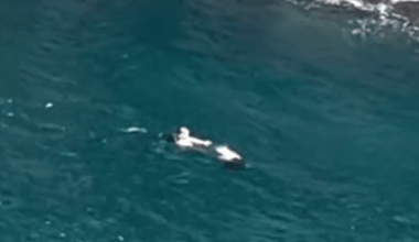 A Chinese tourist rescued a woman who had fallen into the sea at Jōgasaki Coast in Shizuoka Prefecture.