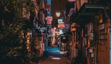 Quiet Night in Golden Gai