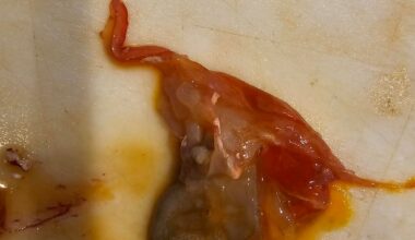 Difficulty identifying what goes in Botan Ebi head sauce
