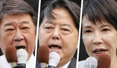 Majority of Japan's ruling LDP's local chapters back tighter foreigner land purchase rules
