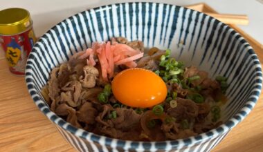 Made a few meals’ worth of gyudon
