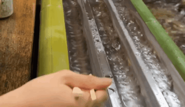 Nagashi somen is an eating style where you “catch” noodles with chopsticks as they make their way down a stream of flowing water