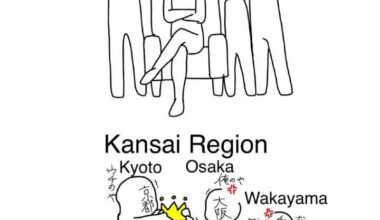 Is this accurate?