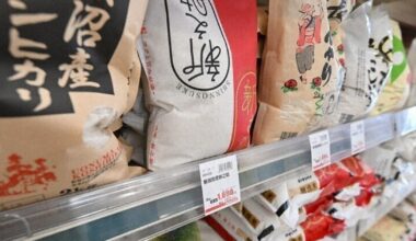 Japan's 2025 rice crop outlook favorable, shortage likely to ease