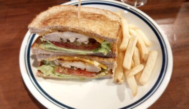 Japanese chicken sandwich