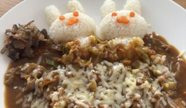 Craved Swedish Cabbage pudding AND Curry.. Cabbage pork curry it is!