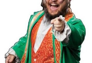 In Kayfabe, Hornswoggle and David Finlay are brothers