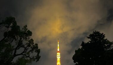 Tokyo nights, painted in Gold!