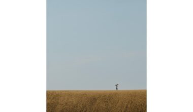 Tottori Sand Dunes in Summer