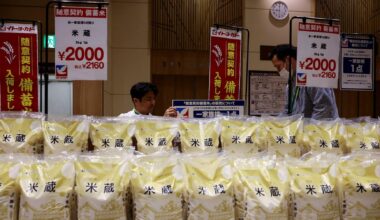 Trump demand for Japan to buy more US rice snagged trade talks, Nikkei says