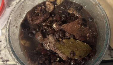 Homemade Japanese-Greek azuki bean, pork, and chestnut braise.