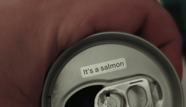 It's a salmon?