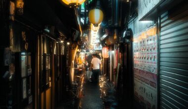 Streets of Tokyo: Omoide Yokocho