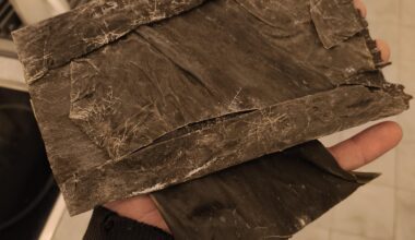Has my Dried Kelp/Seaweed/Kombu gone bad?