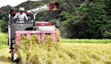 New Tech, Cultivation Methods Used to Boost Rice Yields; Retail Prices Still Over 30 Percent Higher Than Last Year